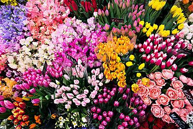 手绘风解谜《拉娜的星球》宣布延期 首发将加入XGP